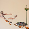 Kevin Chin